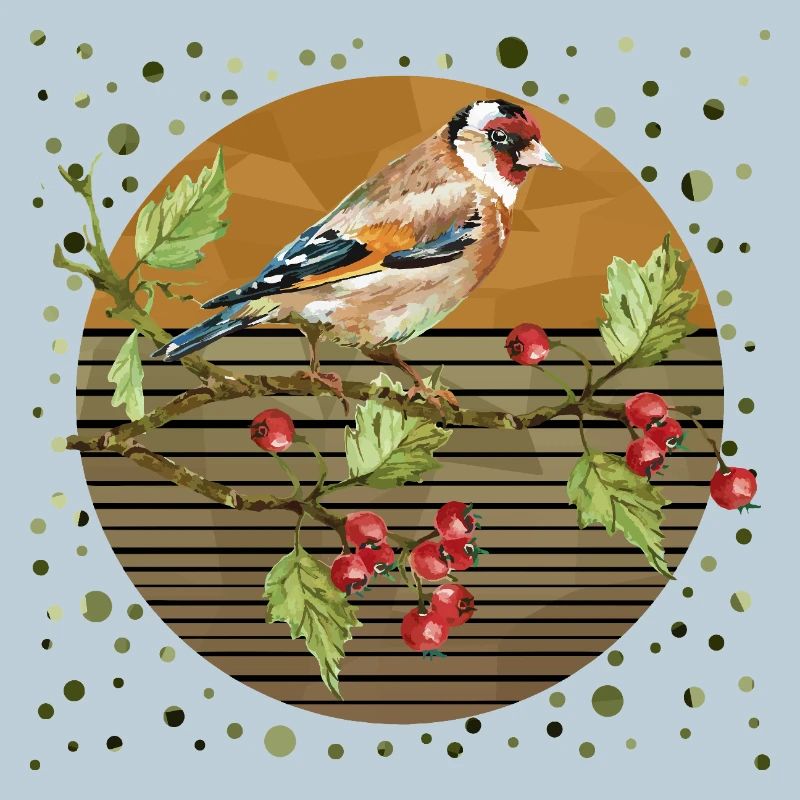 Oiseau coloré