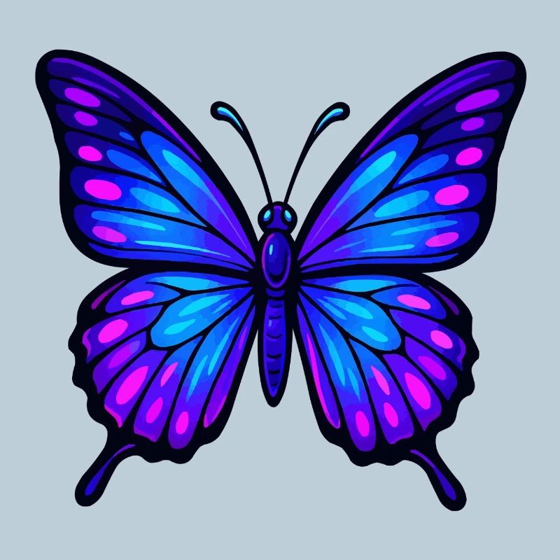 Night Wing Butterfly