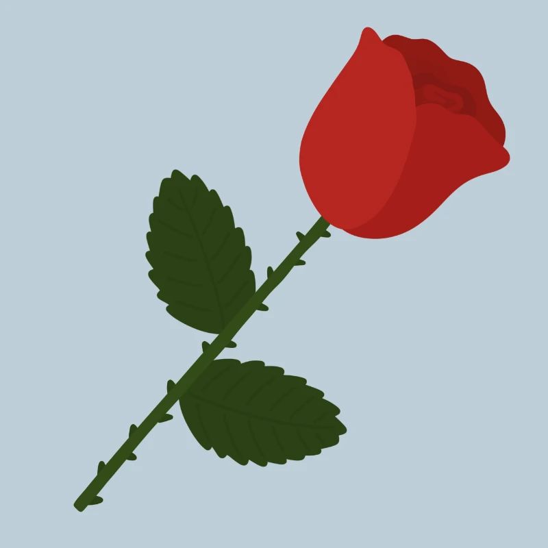 Rose Illustration