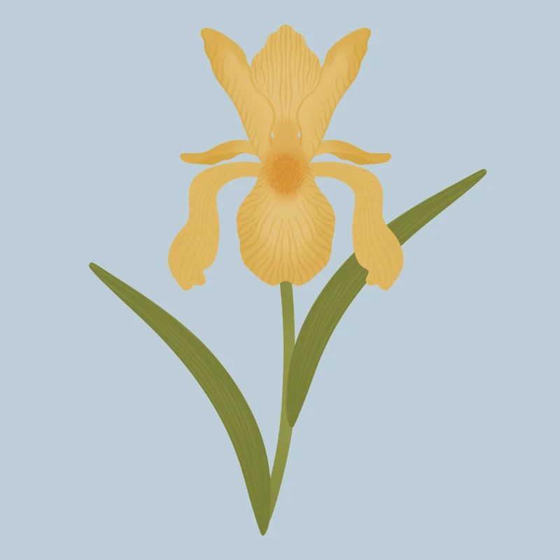 Golden Iris Bloom on Green