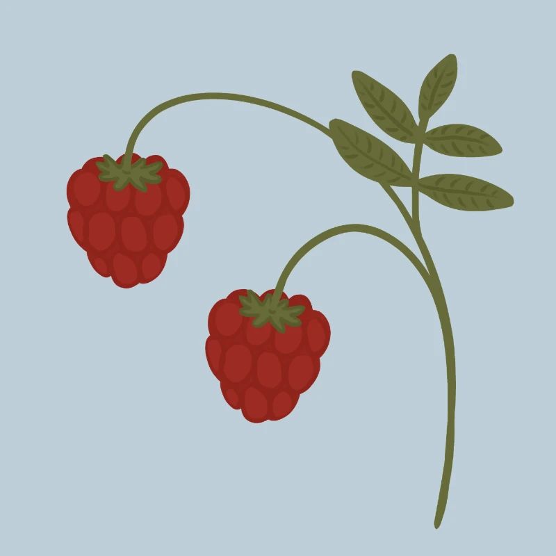 Himbeeren