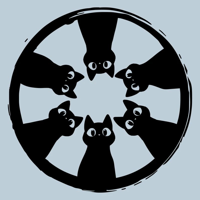 Cats circle view from above