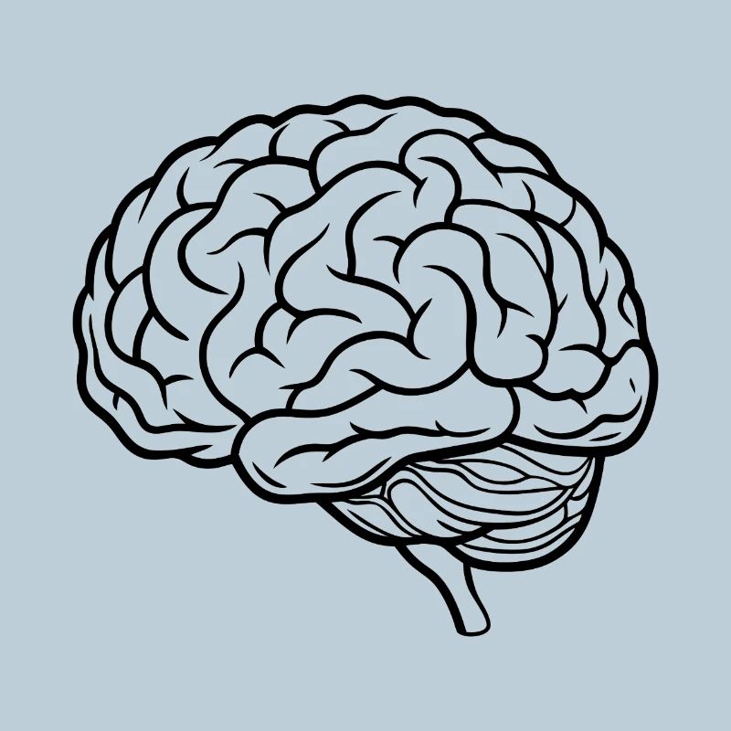 Brain