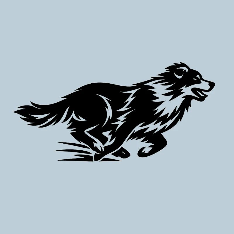 Silhouette du Border Collie en course