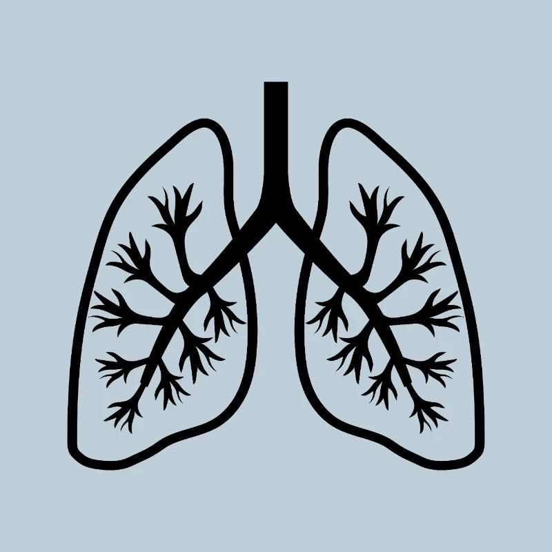 Lungs