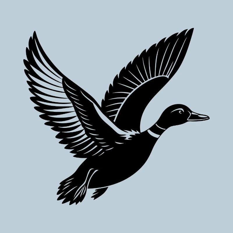 Flying Mallard Duck