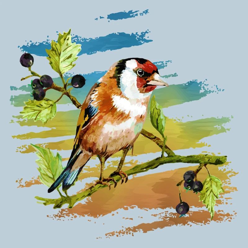 Colorful bird