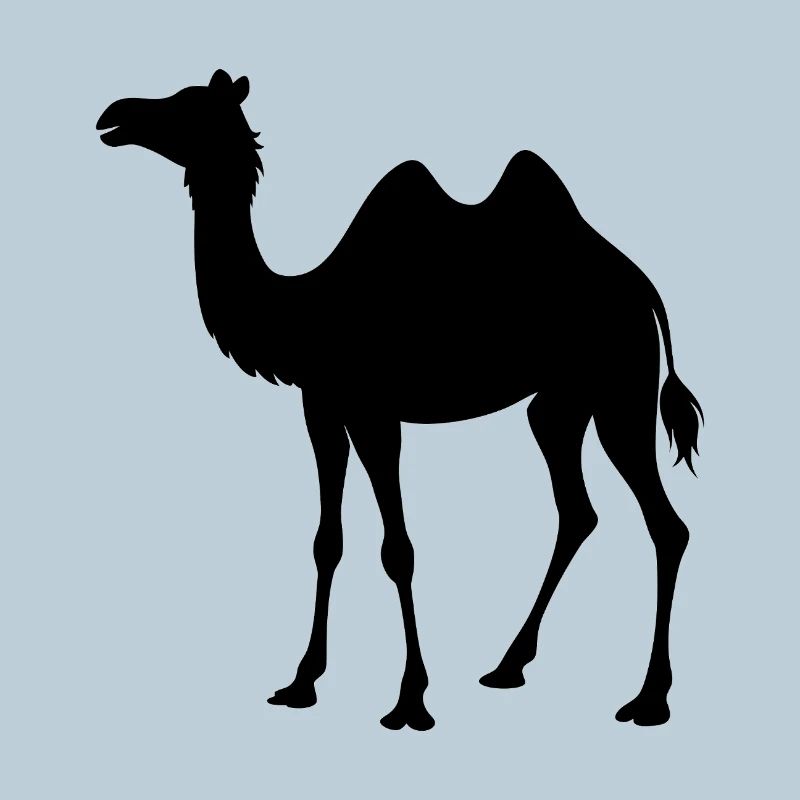 camel