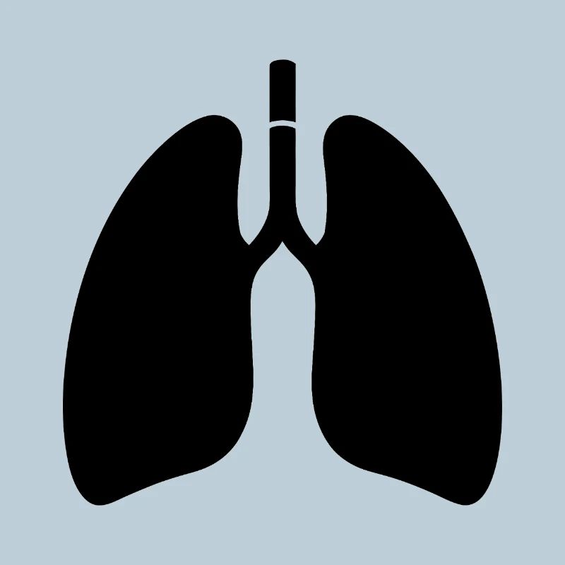 Lungs