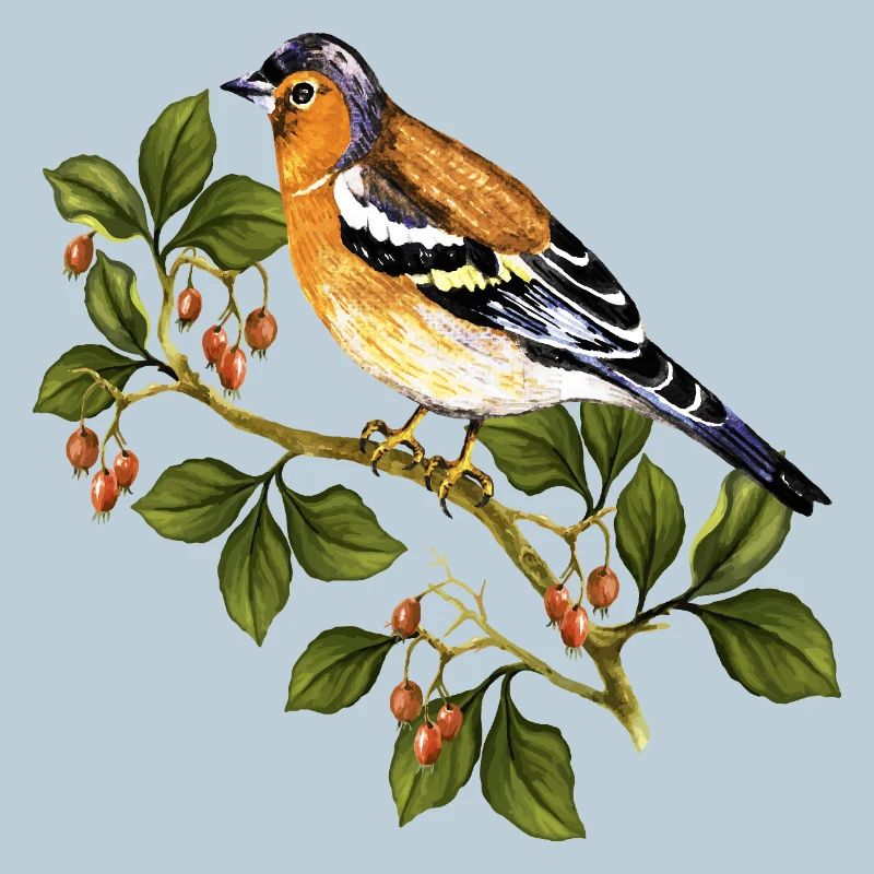 Bunter Vogel
