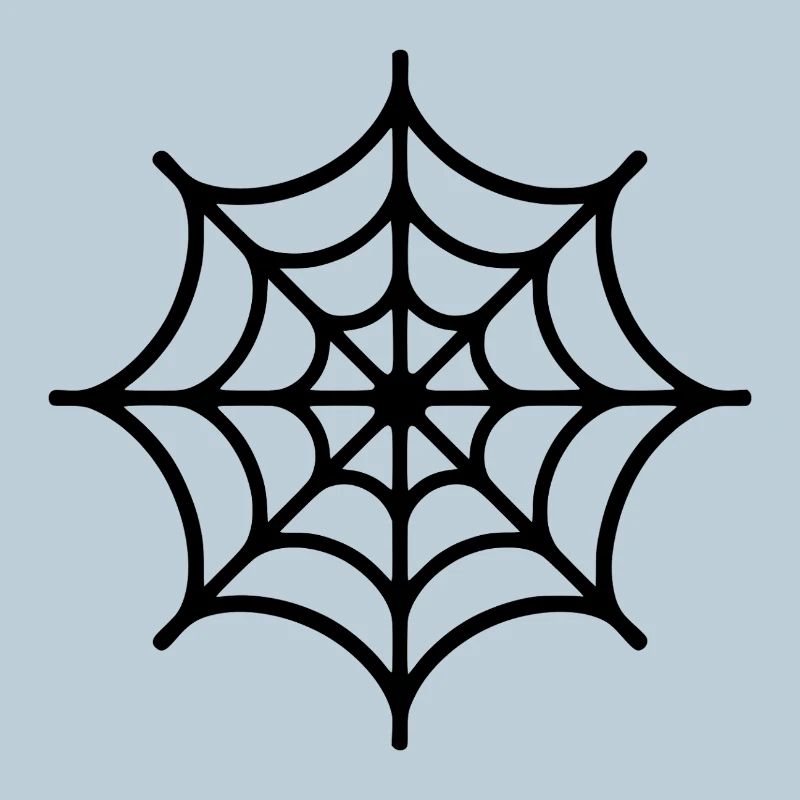 Spider Web Spider