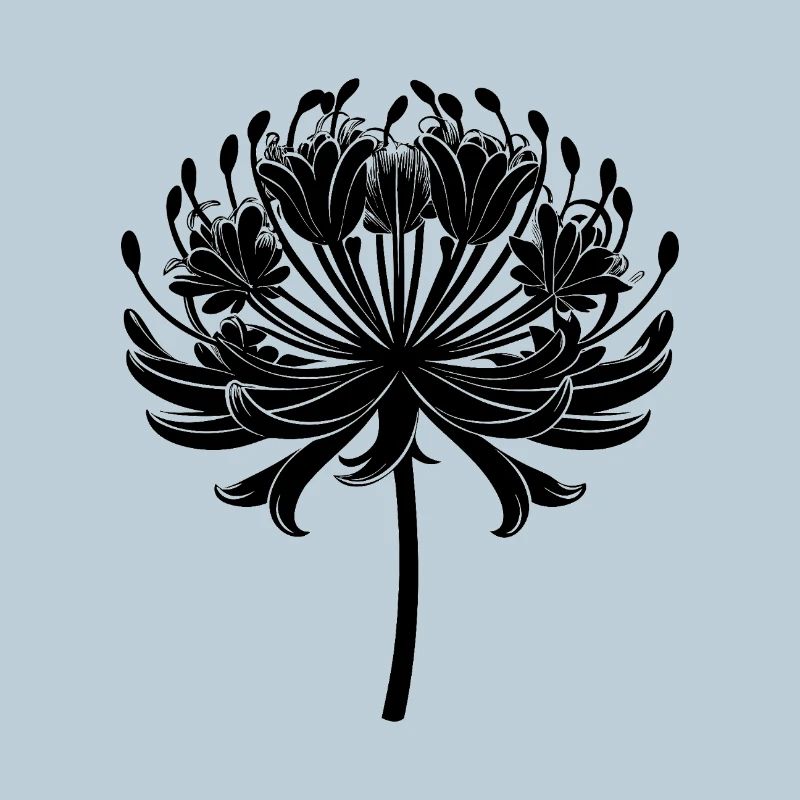 Fleur d’agapanthe