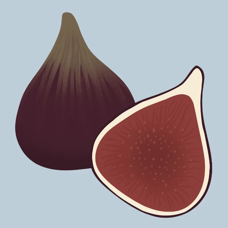 Fig Slice Botanical Print