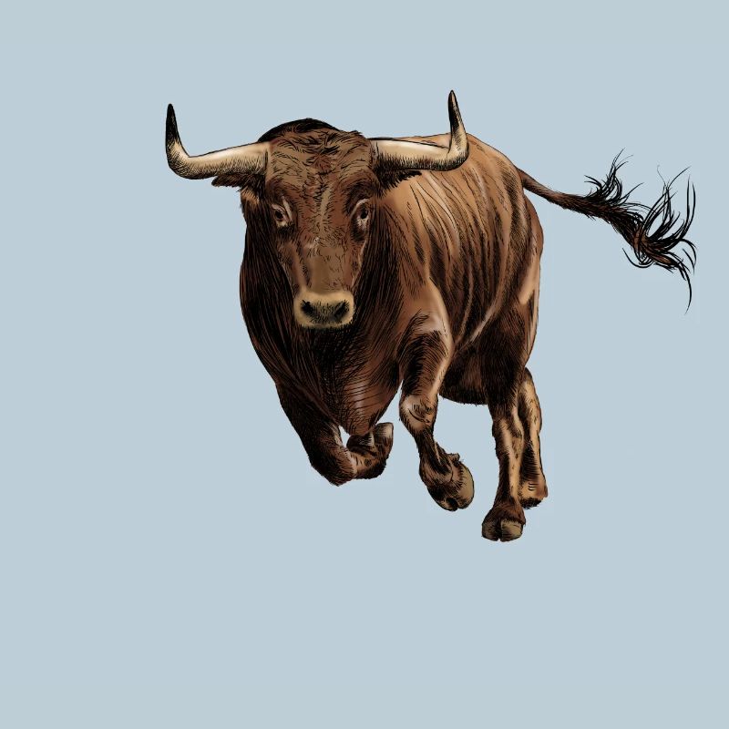 Bull