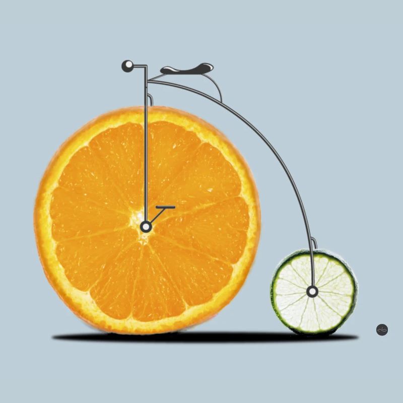 Fruit Bicycle