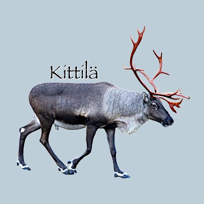 Kittilä