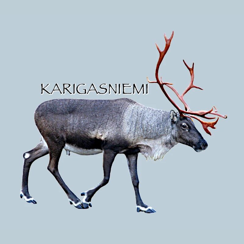 KARIGASNIEMI
