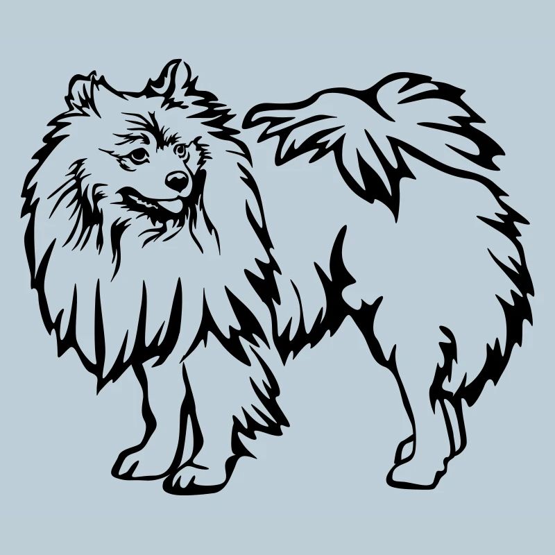 Spitz