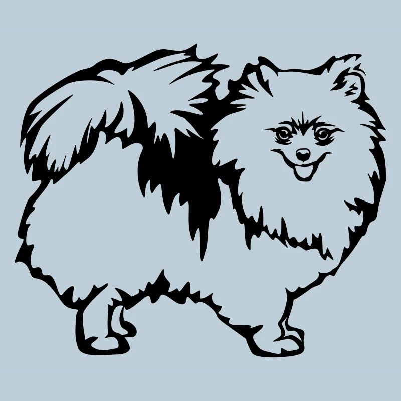 Spitz nain
