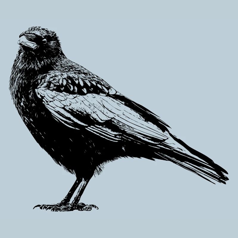 Corbeau