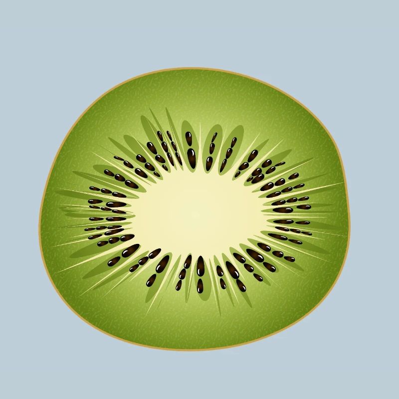 Kiwi slice as a fresh fruit motif