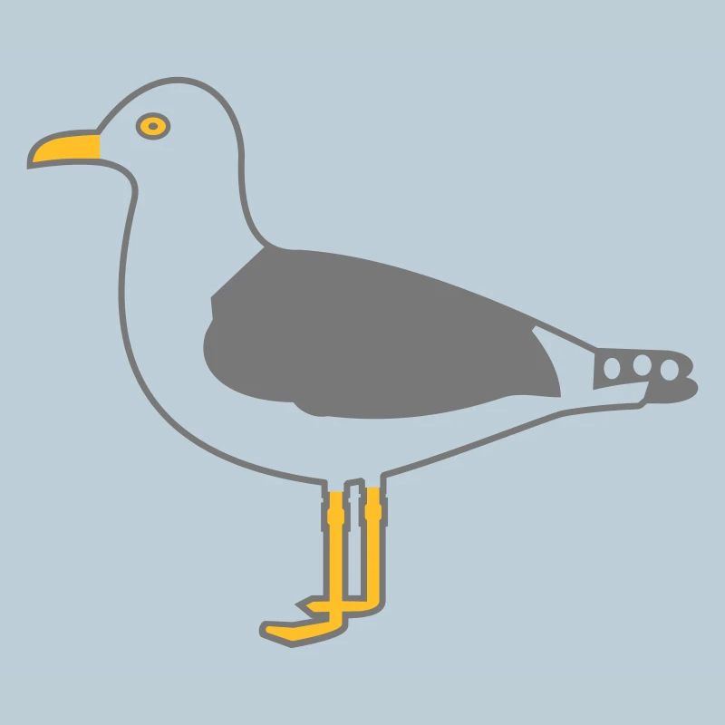 herring gull
