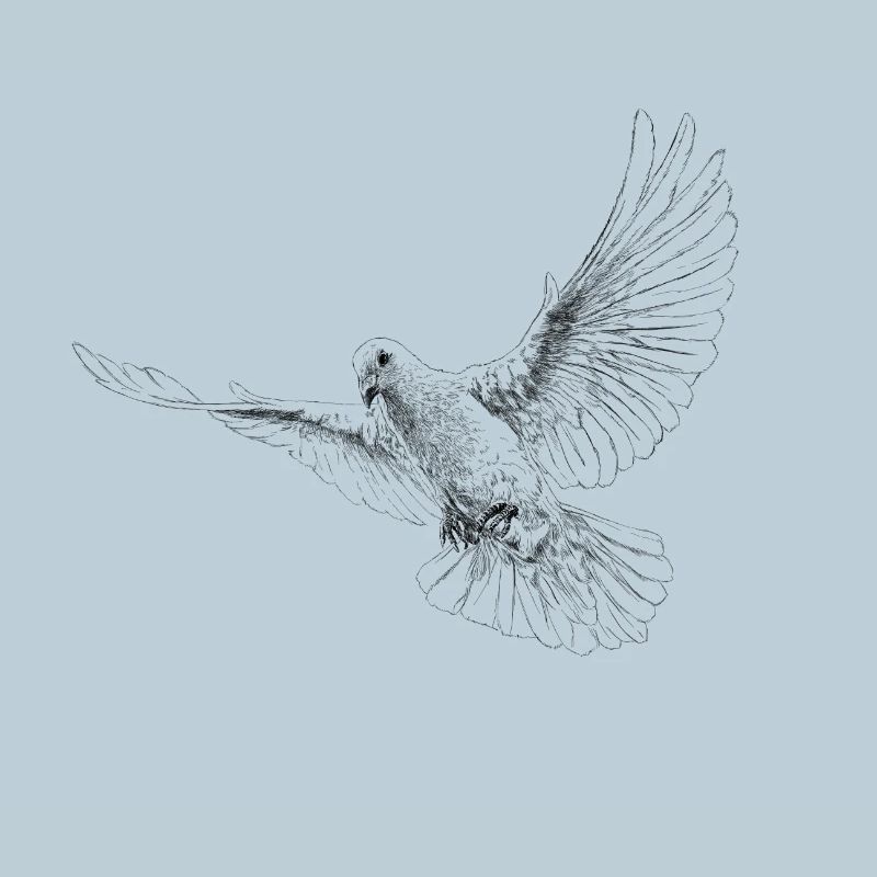 Dove