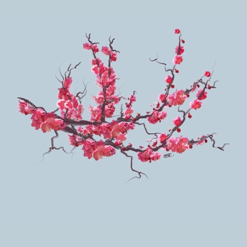 sakura