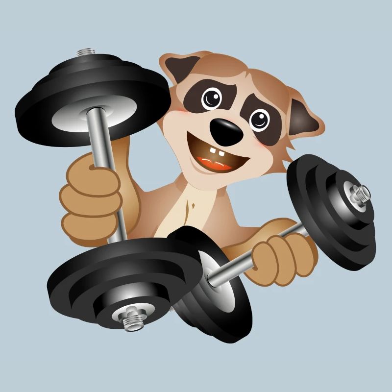 Bodybuilder meerkat with dumbbells while exercising