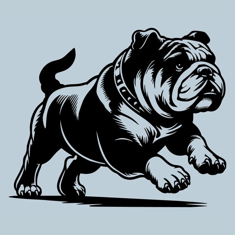 Bouledogue anglais