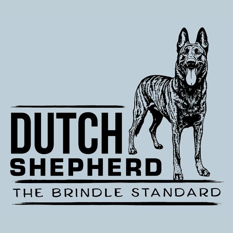 Berger hollandais - Dutchie
