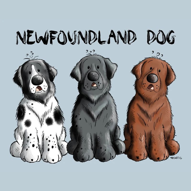 Newfoundland Dog Team