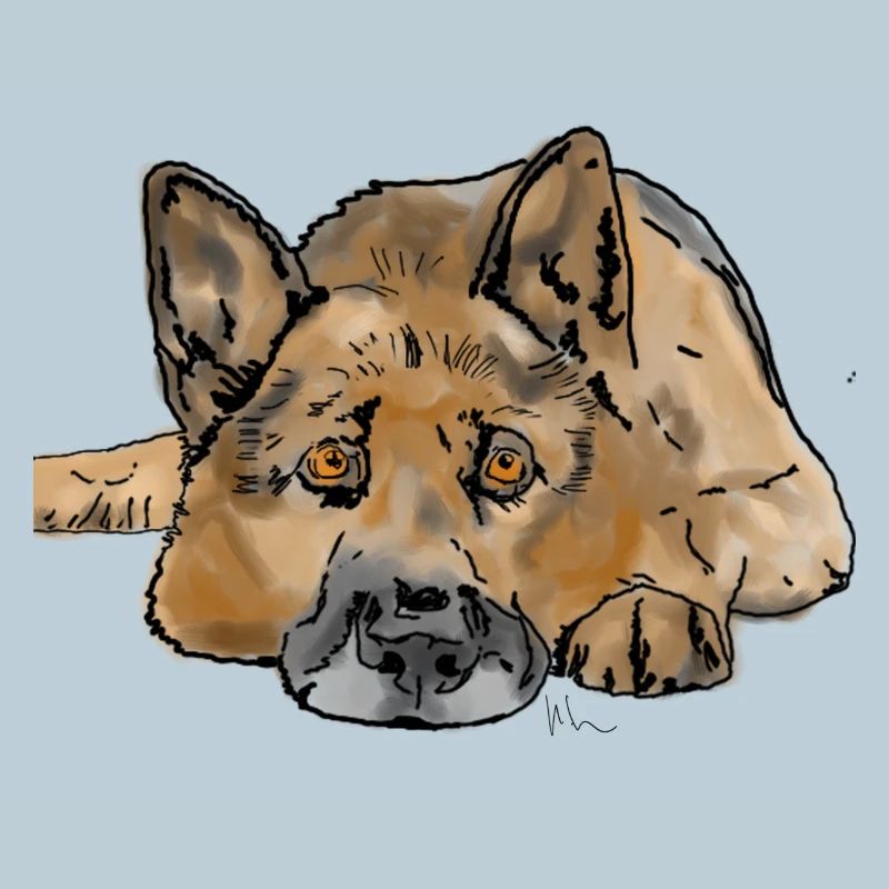 German. Shepherd dog