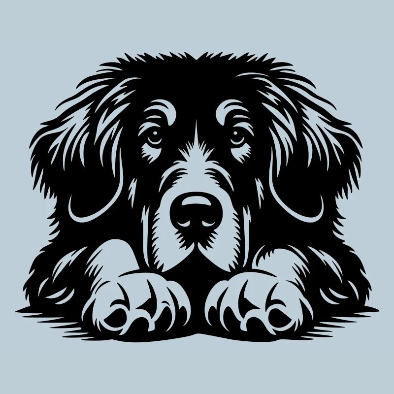 Tibetan Great Dane Head with Paws