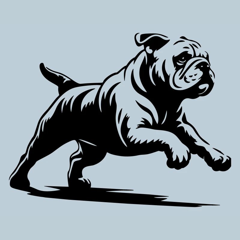 Bouledogue anglais