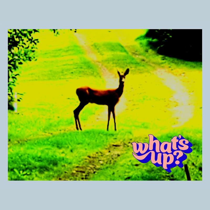 whats up