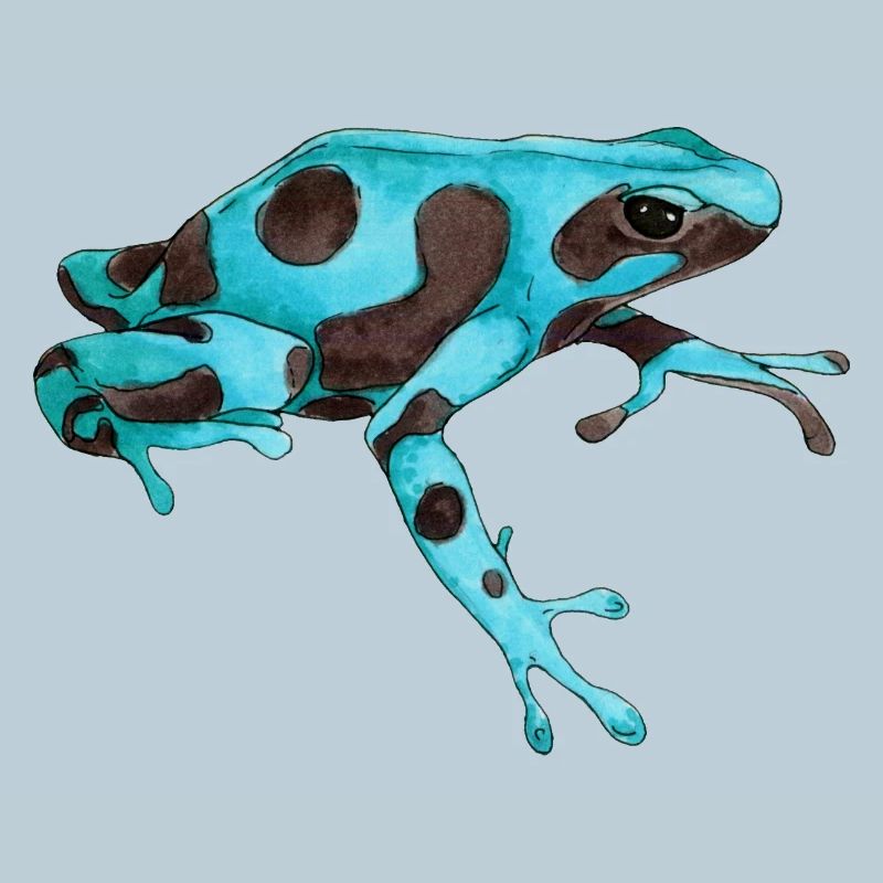 Poison frog