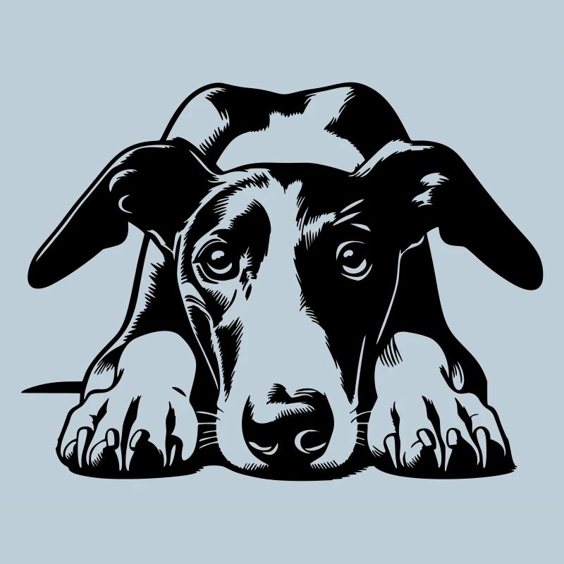 Galgo Head with Paws
