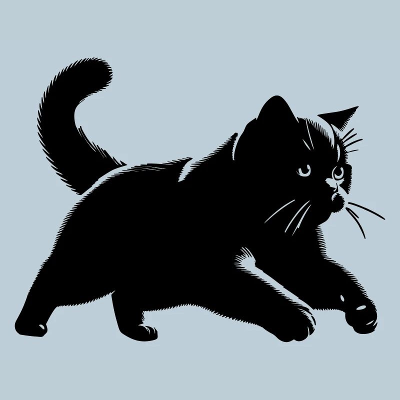 Britisch Kurzhaar Katze