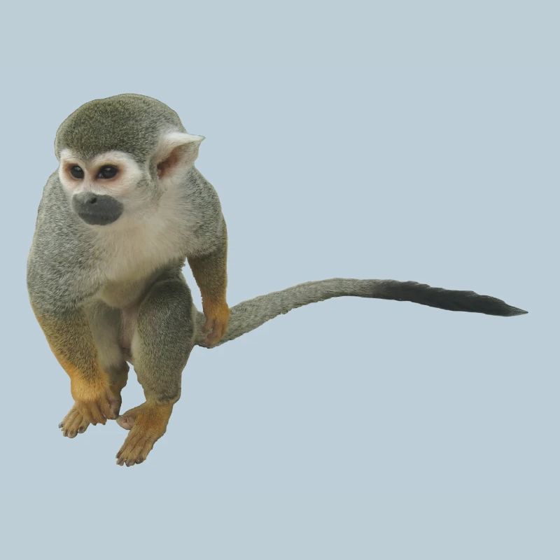 Affe