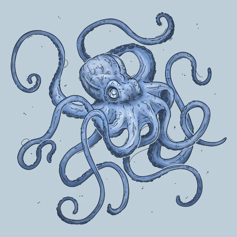 Octopus
