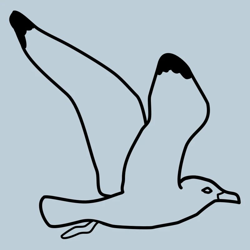 mouette