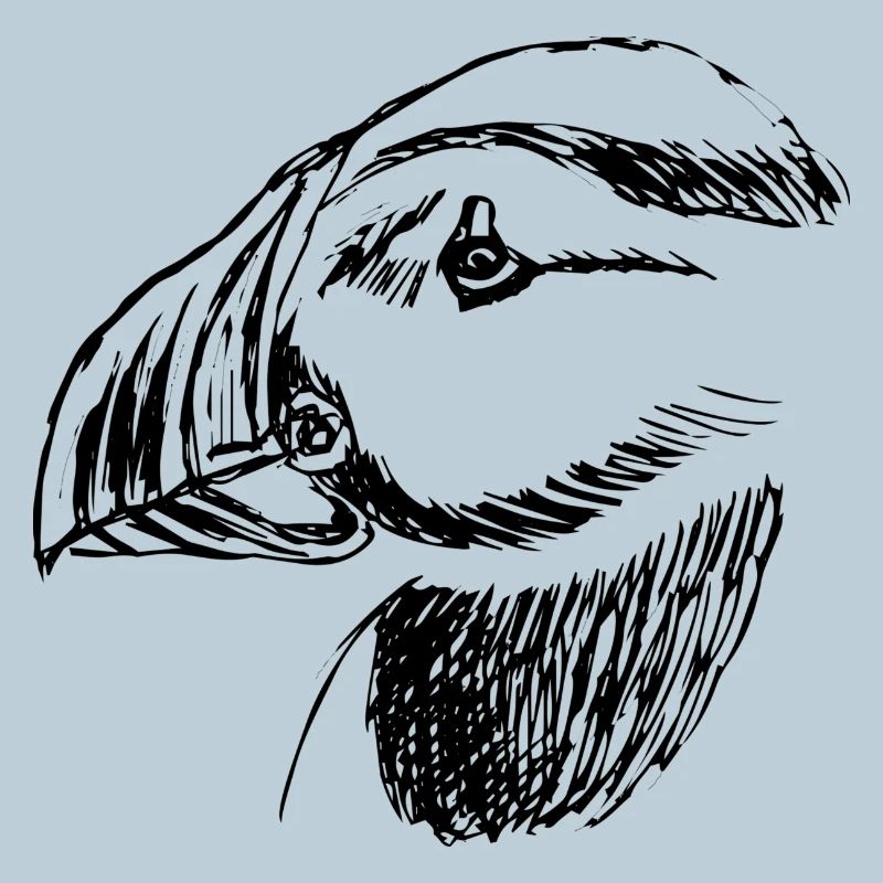 Hand drawn puffin bird