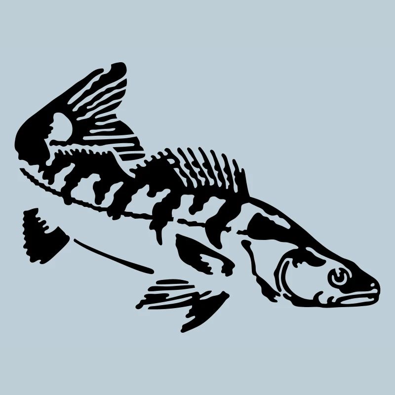 Zander