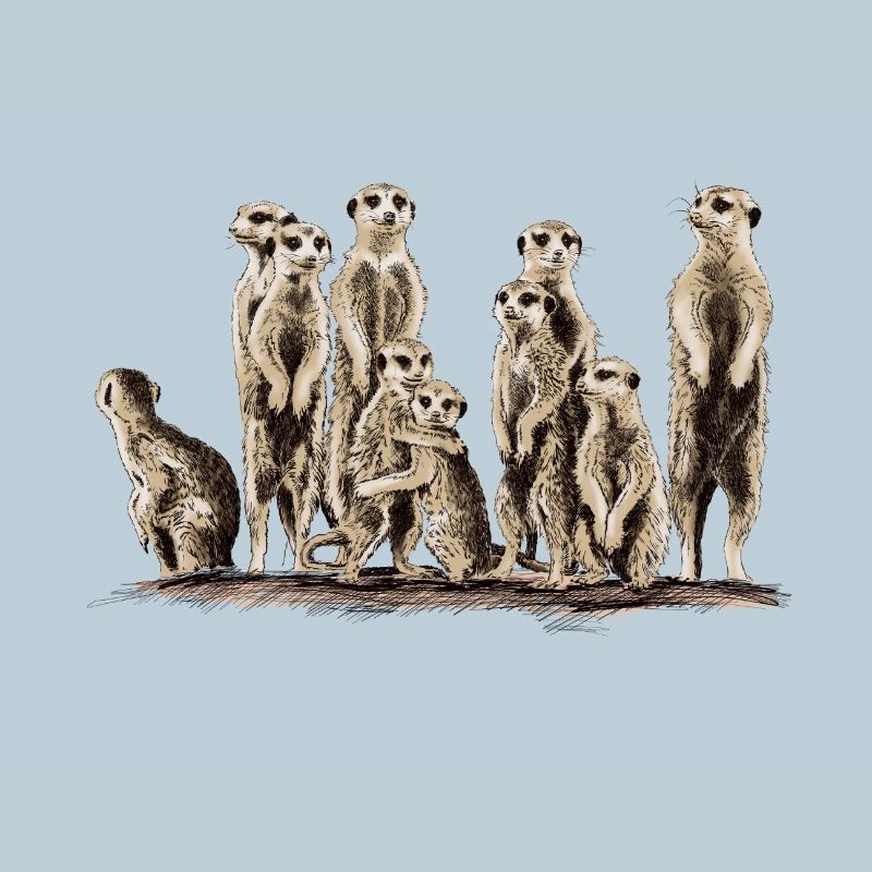 Erdmännchen