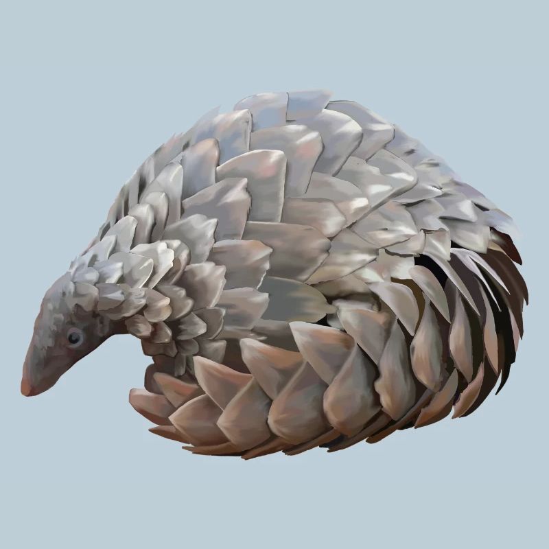 Pangolin dessiné à la main