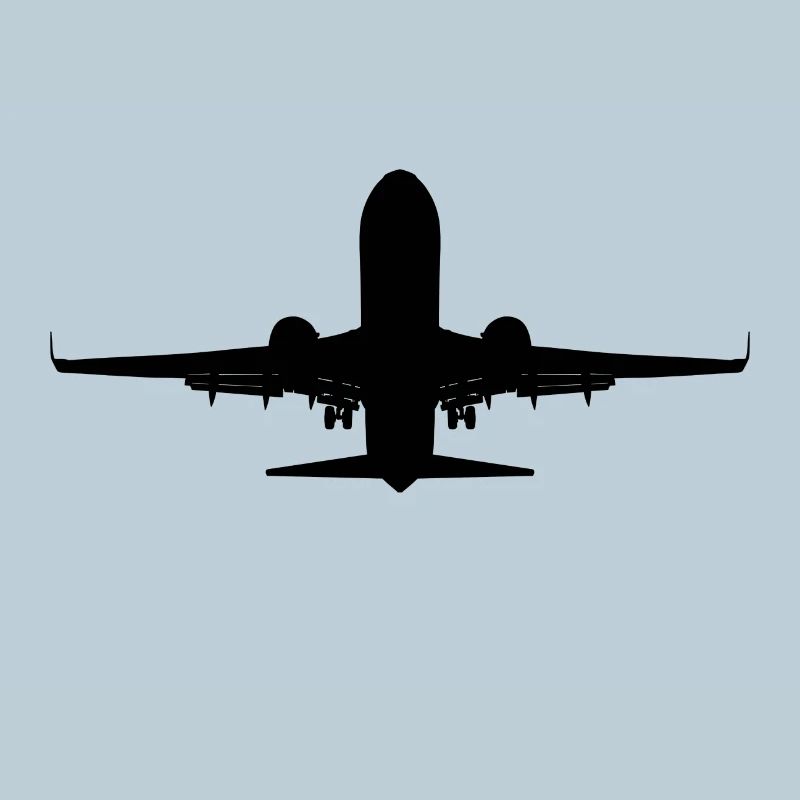 Airplane
