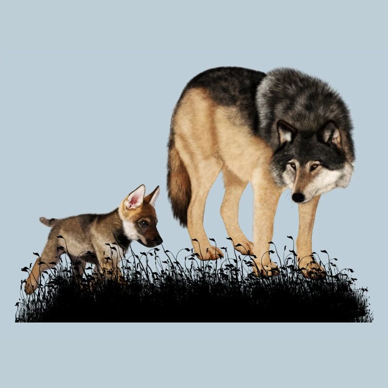 Mit dem Bär im Wald umwerfender Wolf