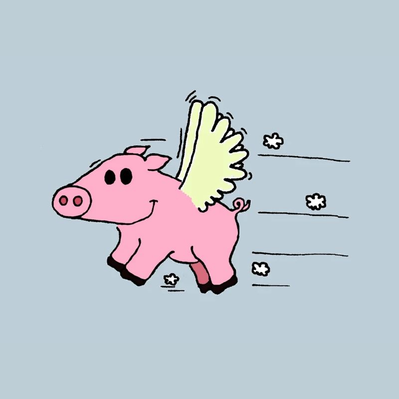Flying Pig