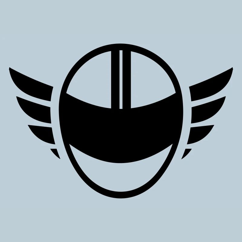 Motorcycle helmet with wings